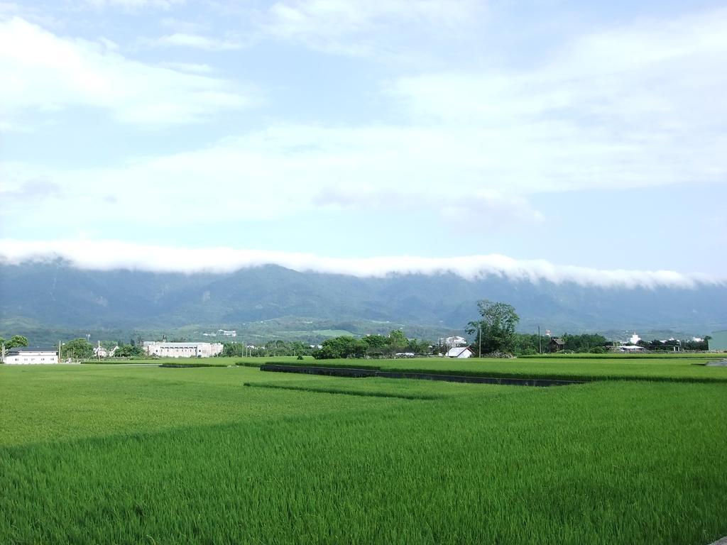 池上福吉園素食民宿 臺東縣民宿073號 請勿透過阿勾達訂房 Exterior foto